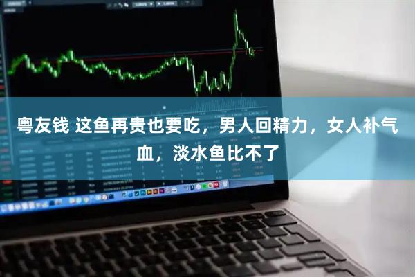 粤友钱 这鱼再贵也要吃，男人回精力，女人补气血，淡水鱼比不了