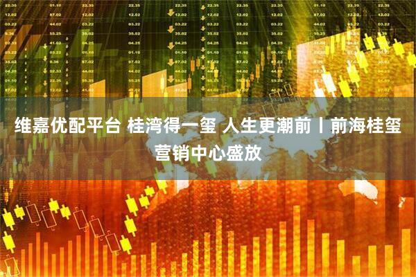 维嘉优配平台 桂湾得一玺 人生更潮前丨前海桂玺营销中心盛放