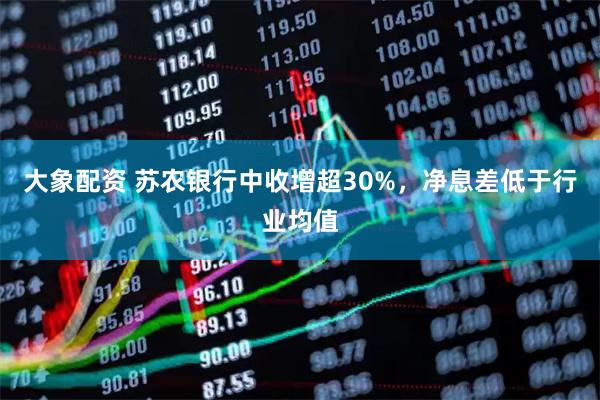 大象配资 苏农银行中收增超30%，净息差低于行业均值