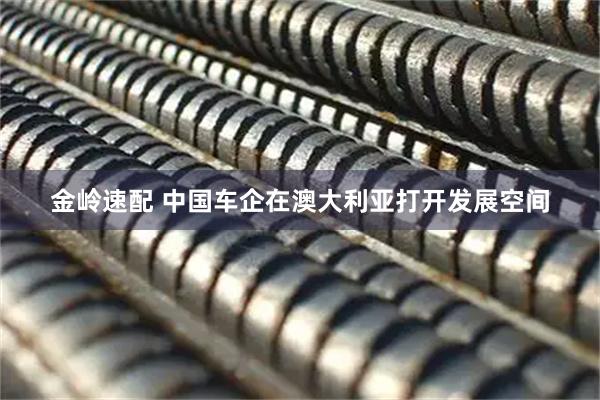 金岭速配 中国车企在澳大利亚打开发展空间